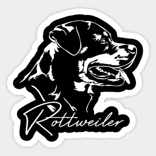 Proud Rottweiler dog portrait Rottie dog Sticker